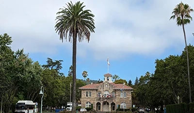 View of Sonoma City Hall with Palm tree on Sonoma Scavenger Hunt Walking Tour