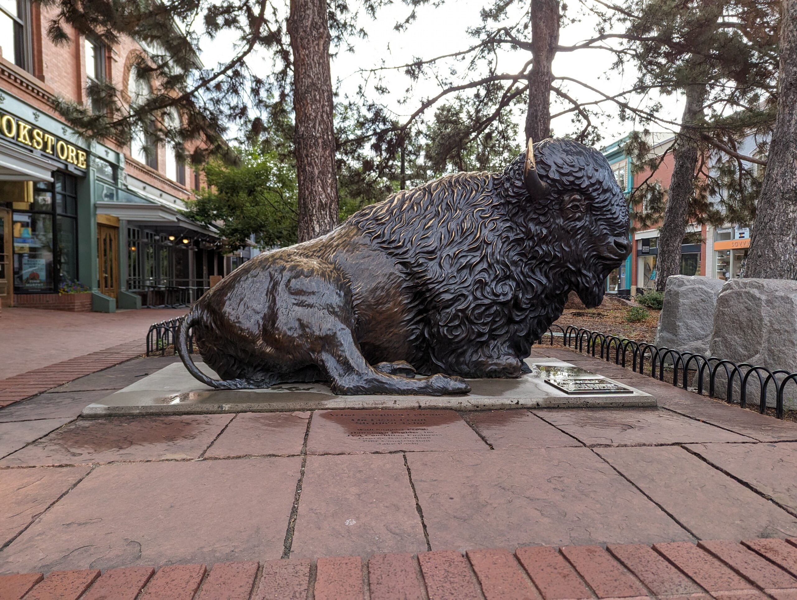 Iconic buffalo sculpture seen from Scavenger Hunt Walking Tour Boulder Colorado.