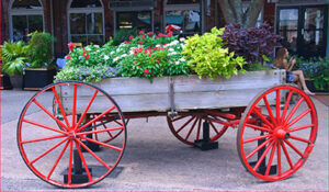 Savannah Scavenger Hunt Walking Tour