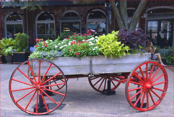 Savannah Scavenger Hunt Walking Tour