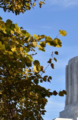 Salem Oregon Scavenger Hunt Walking Tour