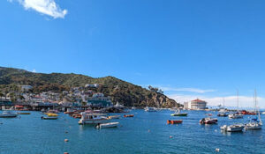 Catalina Scavenger Hunt Walking Tour