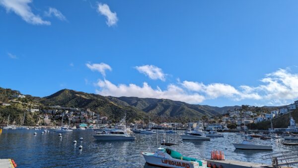 Catalina Scavenger Hunt Walking Tour - Image 8
