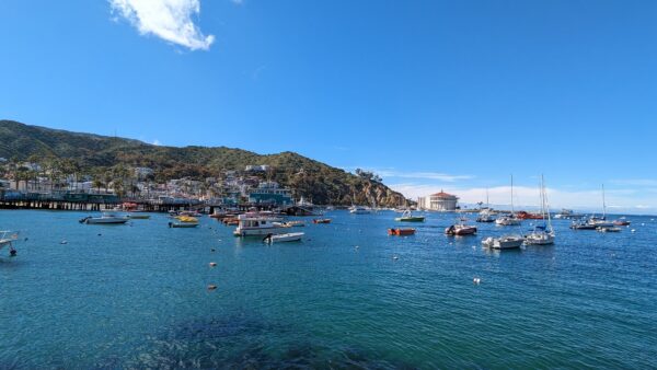 Catalina Scavenger Hunt Walking Tour