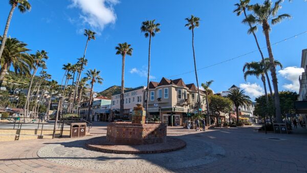 Catalina Scavenger Hunt Walking Tour - Image 4
