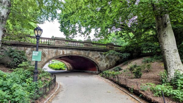 New York Central Park Scavenger Hunt Walking Tour - Image 6