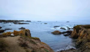 Fort Bragg Scavenger Hunt Walking Tour