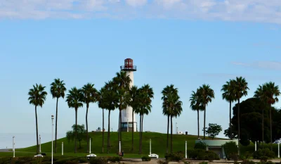 A beautiful view of the Long Beach lighthouse surrounded by palm trees during the day. in Long Beach Scavenger Hunt