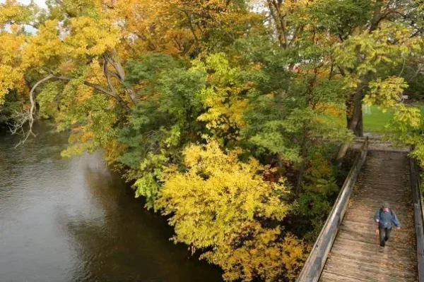Creek in fall ypsilanti.jpg in Ypsilanti Scavenger Hunt, MI