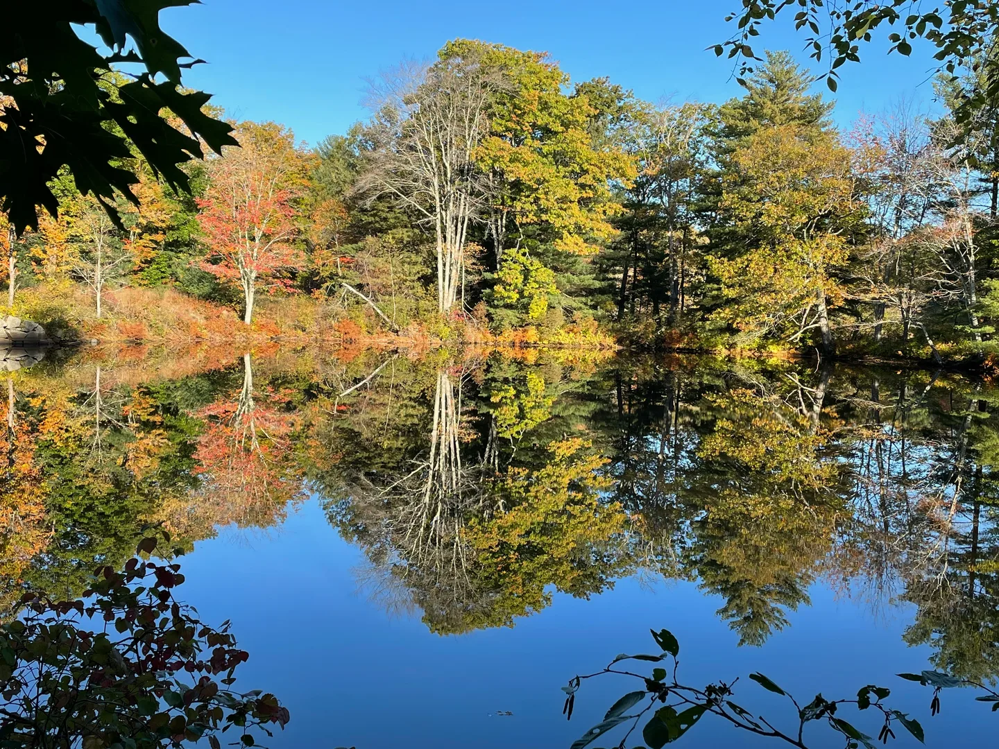 a body of water surrounded by lots of trees in Newmarket Scavenger Hunt, NH