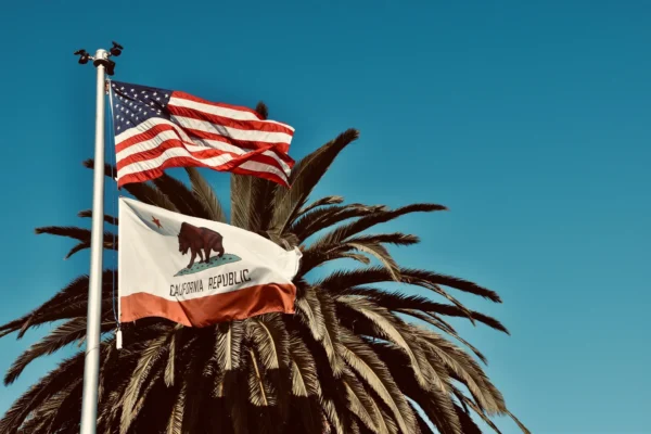 American and California flags waving against a palm tree backdrop in sunny Monterey, CA. in Bakersfield Historic District Scavenger Hunt