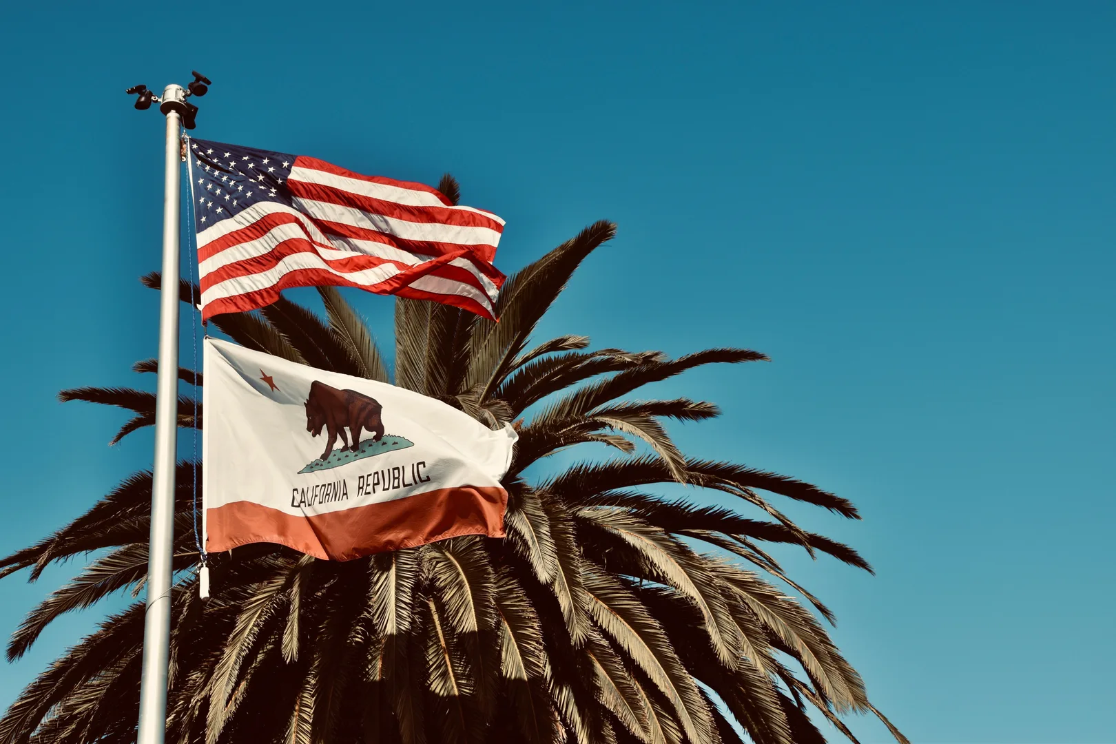 American and California flags waving against a palm tree backdrop in sunny Monterey, CA. in Bakersfield Historic District Scavenger Hunt