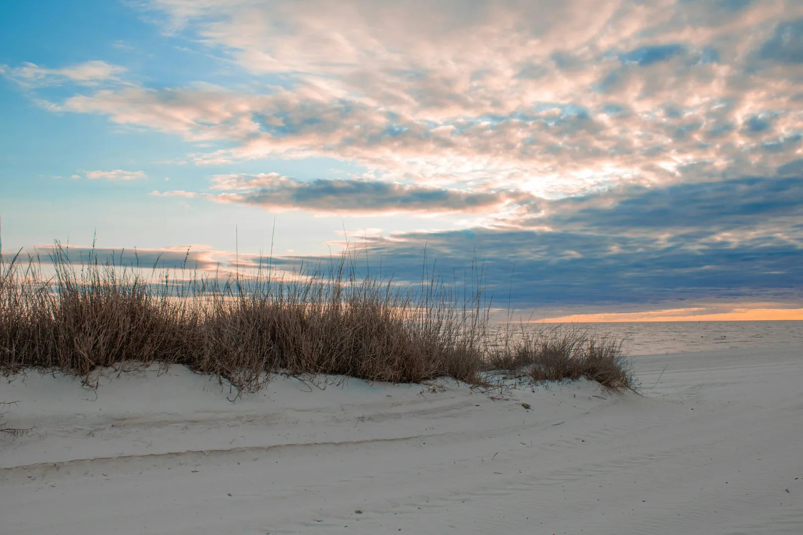 Grassy dunes on a sandy beach at sunset in Biloxi Scavenger Hunt, MS