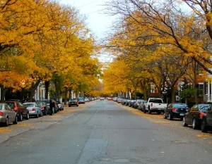 Chestnut Street Salem.jpg in Salem Massachusetts Scavenger Hunt