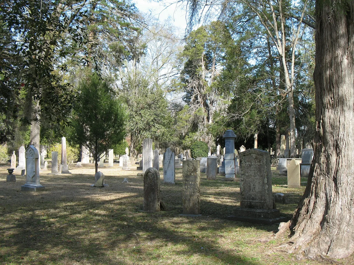 Wintergreen Cemetery, Port Gibson, Mississippi.jpg in Port Gibson Scavenger Hunt, MS